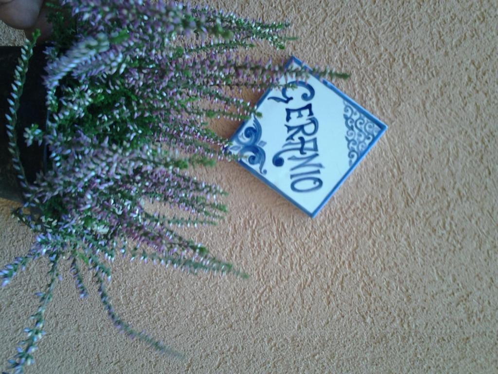 Il Cortile Fiorito Trapani Exterior foto